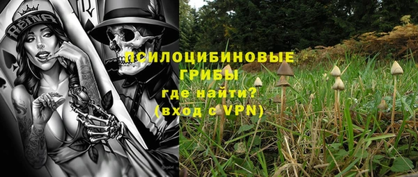 экстази Козельск