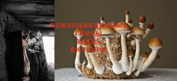 экстази Козельск