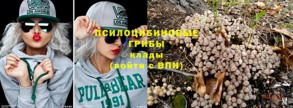 трава Козловка