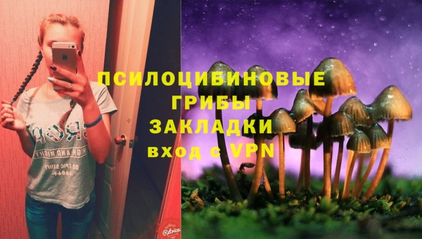 экстази Козельск